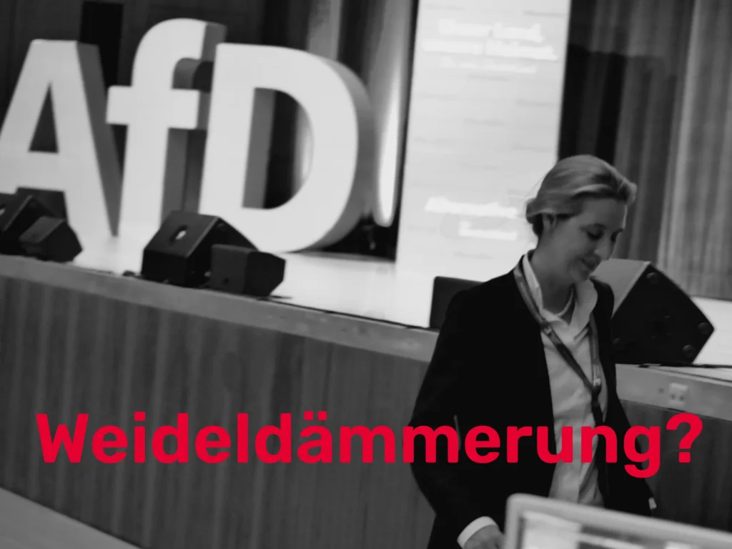 Kritik an Weidel wird lauter! Elsässer beginnt, sich leise zu distanzieren