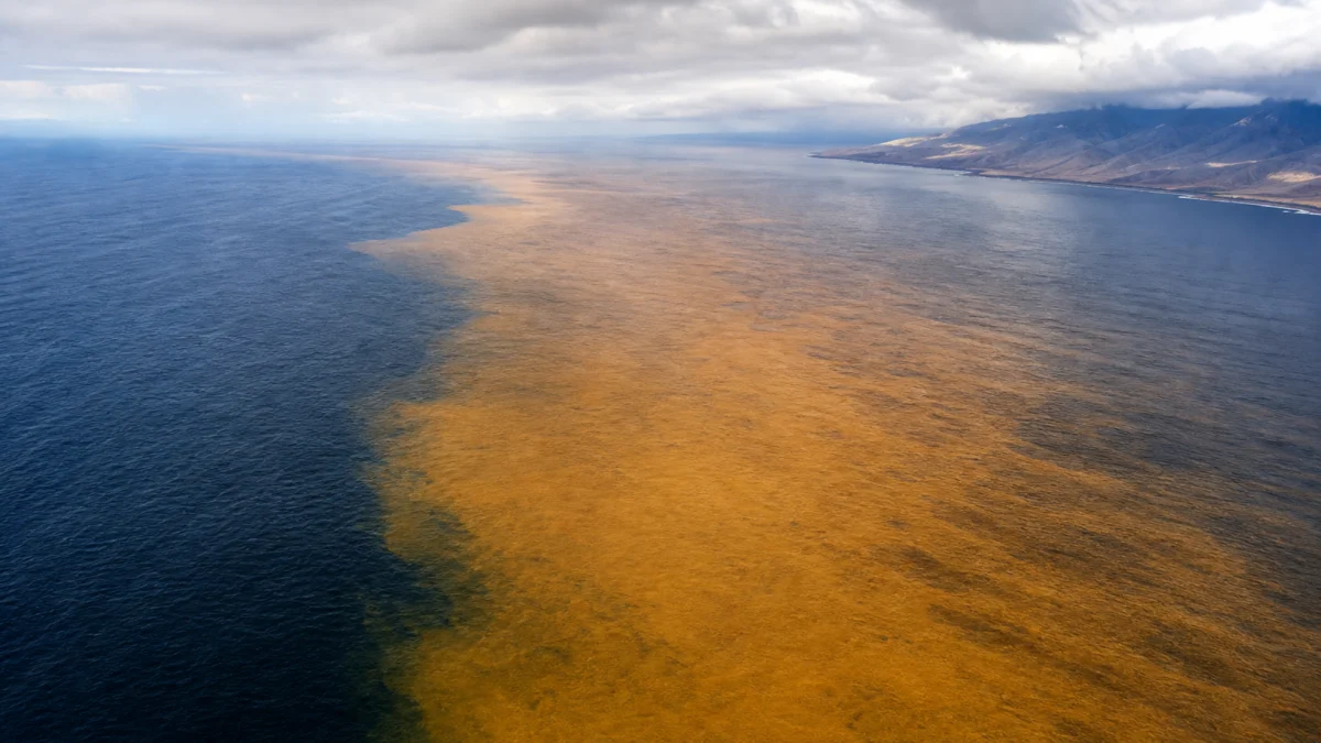 Symbolbild einer ungewöhnlich warmen Oberflächenwasserzone im tropischen Pazifik während El Niño