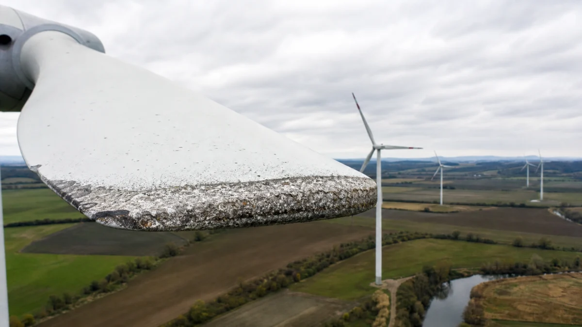 Verwitterte Rotorblattkante vor einem Windpark